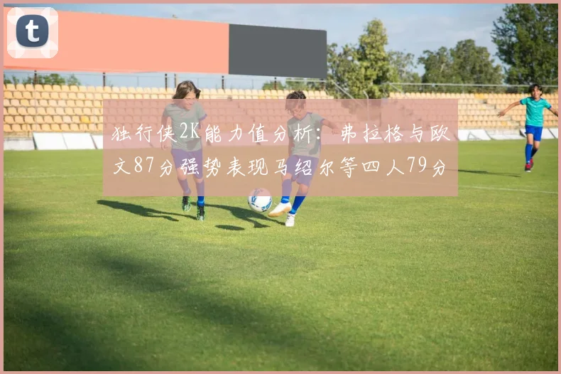 独行侠2K能力值分析：弗拉格与欧文87分强势表现马绍尔等四人79分展现潜力