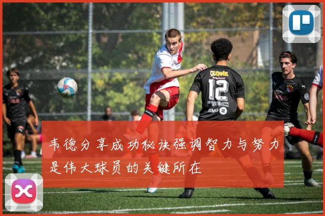 韦德分享成功秘诀强调智力与努力是伟大球员的关键所在