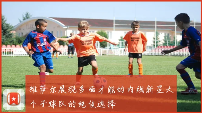 维萨尔展现多面才能的内线新星大个子球队的绝佳选择