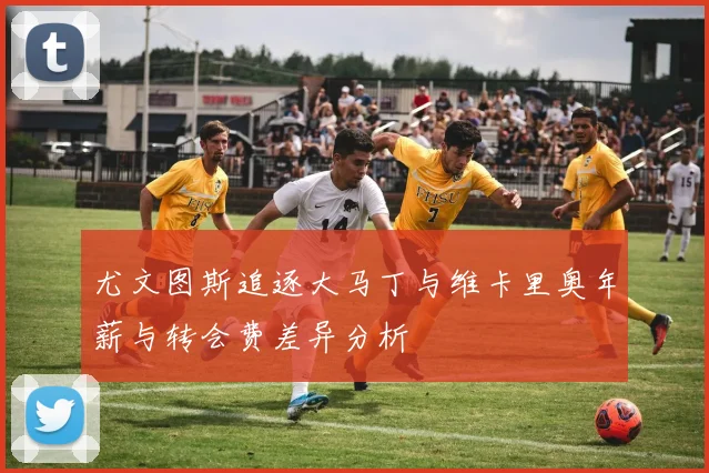 尤文图斯追逐大马丁与维卡里奥年薪与转会费差异分析